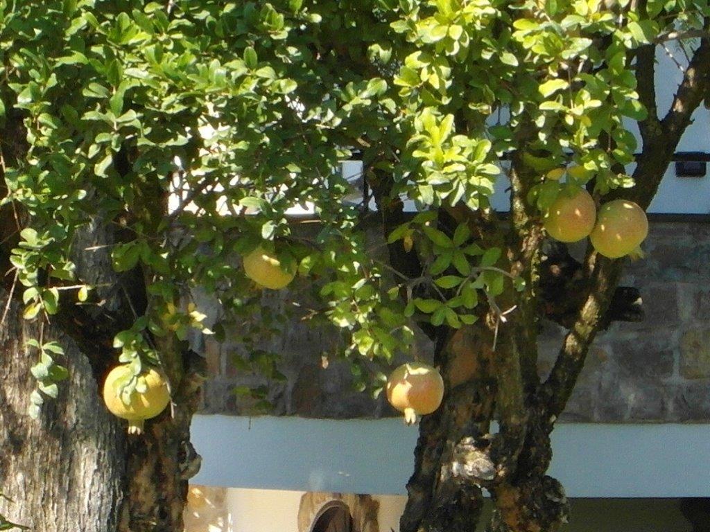 B&B Villa Lura بومبيي الغرفة الصورة